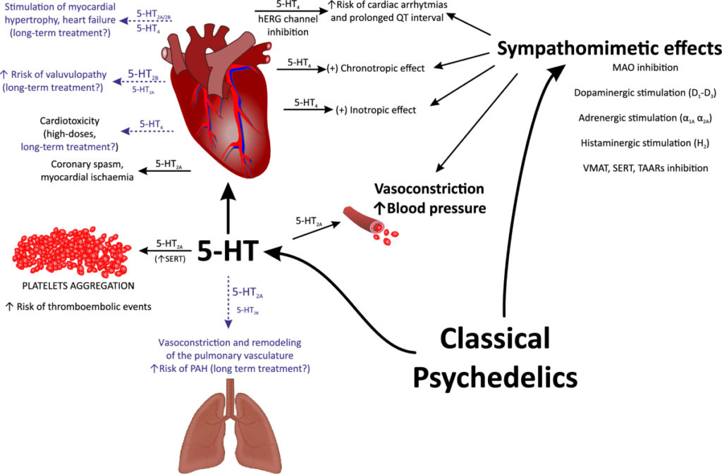 Does Psilocybin Affect Blood Pressure? What You Should Know