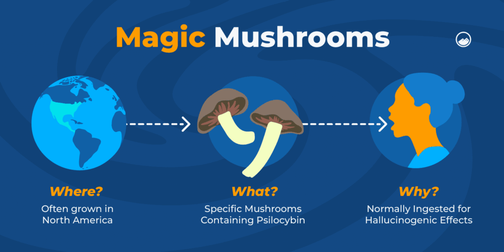 Who Should Not Take Psilocybin? Safety Considerations
