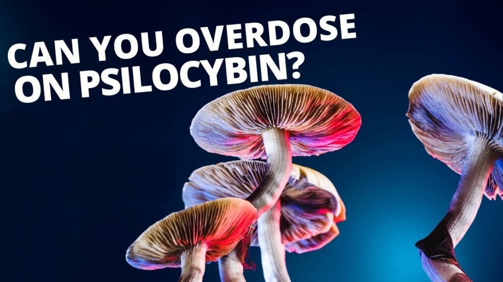 Can You Overdose on Psilocybin? What Research Says
