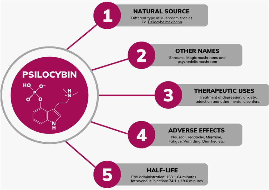 psilocybin and antidepressants what to know