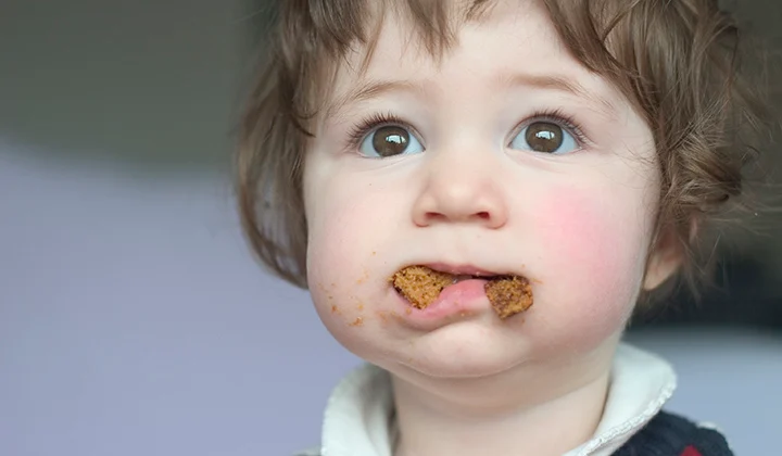 What to Eat Before Consuming Edibles for Better Effects